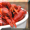 Louisiana+crawfish+boil+seasoning