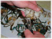 Crab Preparation