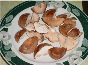 Shittake Mushrooms
