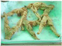 Fried Frog Legs