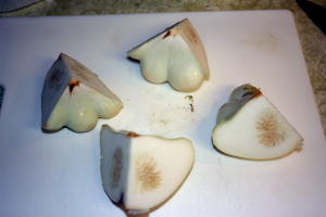 White Squash