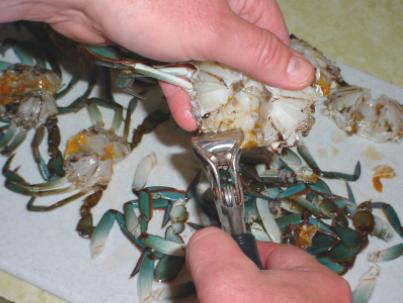 Crab Preparation