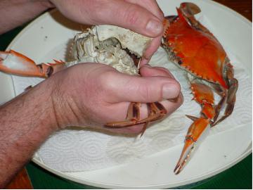 Peeling Crabs