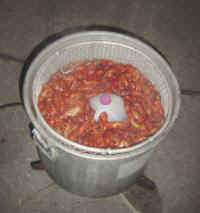 Boiled Crawfish